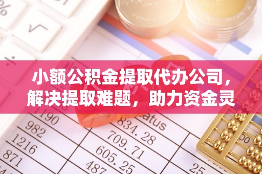 富顺小额公积金提取代办公司，解决提取难题，助力资金灵活使用