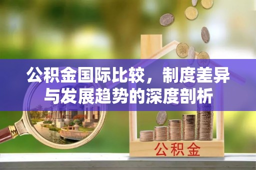 富顺公积金国际比较，制度差异与发展趋势的深度剖析