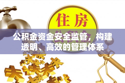 富顺公积金资金安全监管，构建透明、高效的管理体系