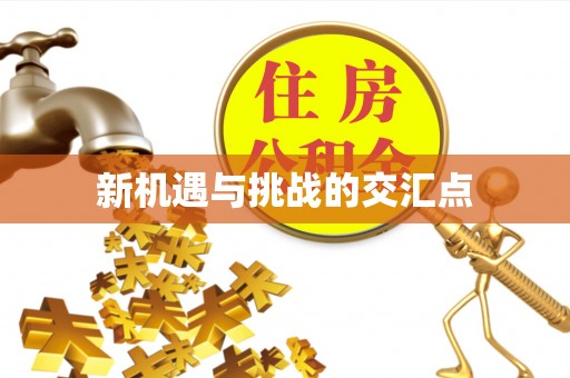 富顺新机遇与挑战的交汇点
