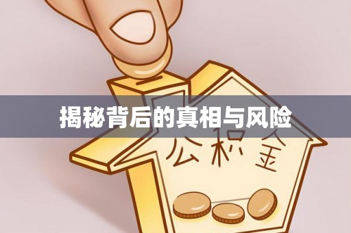 富顺揭秘背后的真相与风险