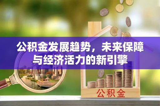 富顺公积金发展趋势，未来保障与经济活力的新引擎