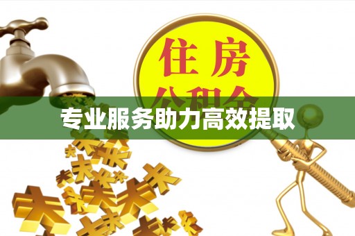 富顺专业服务助力高效提取