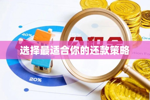 富顺选择最适合你的还款策略